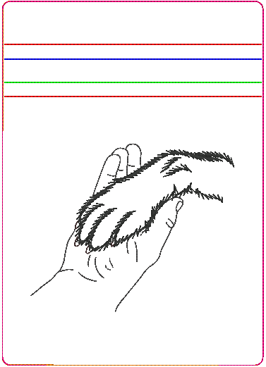 In the Hoop Bag Embroidery Design, Dog Paw With Hand 5X7 Fully Lined ITH Zipper Bag (No Exposed Seams)
