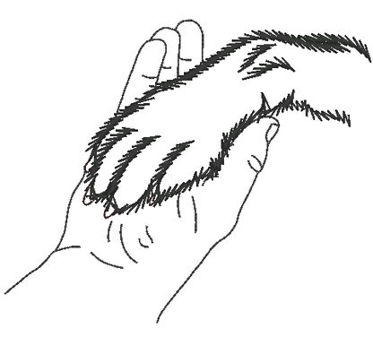 Dog Paw In Hand Machine Embroidery Design